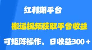 搬运视频获取平台收益，平台红利期，附保姆级教程【揭秘】-副业吧
