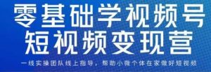 0基础学视频号短视频变现，适合新人学习的短视频变现课-副业吧