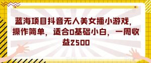 蓝海项目抖音无人美女播小游戏,操作简单,适合0基础小白,一周收益2500【揭秘】-副业吧