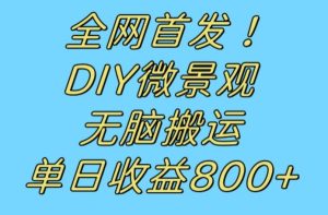 全网首发冷门赛道！DIY微景观，无脑搬运视频，日收益800+【揭秘】-副业吧
