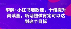 李鲆·小红书爆款课,十倍提升阅读量,听话照做肯定可以达到这个目标-副业吧