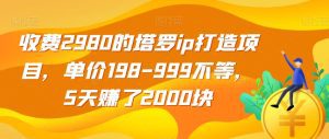 收费2980的塔罗ip打造项目，单价198-999不等，5天赚了2000块【揭秘】-副业吧