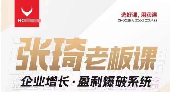 【组合课】张琦张琦老板企业增长·盈利爆破系统（直播专享）-副业吧