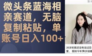 微头条蓝海相亲赛道，无脑复制粘贴，单账号日入100+-副业吧