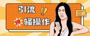 最新引流骚操作,单账号日引50-100,简单粗暴,适合于小白各行各业都可以进行操作,精准粉丝加到爆-副业吧