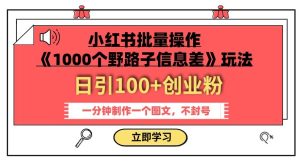 小红书批量操作《1000个野路子信息差》玩法，一分钟制作一个图文，不封号，日引100+创业粉-副业吧
