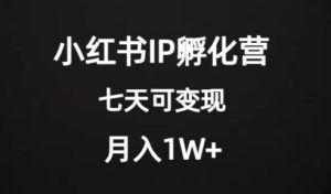 价值2000+的小红书IP孵化营项目,超级大蓝海,七天即可开始变现,稳定月入1W+-副业吧