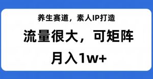 养生赛道,素人IP打造,流量很大,可矩阵,月入1w+【揭秘】-副业吧