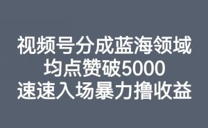 视频号分成蓝海领域,均点赞破5000,速速入场暴力撸收益-副业吧