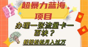 超暴力蓝海项目,办理一张流量卡一百块?轻轻松松月入过万,保姆级教程【揭秘】-副业吧