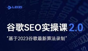 雷子·谷歌SEO 2.0实战课,独立站询盘自由必备,基于2023谷歌最新算法录制-副业吧