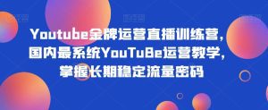 Youtube金牌运营直播训练营,国内最系统YouTuBe运营教学,掌握长期稳定流量密码-副业吧