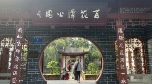 某公众号付费文章,壬戌癸亥月剧本之“锦鲤龙行”,见者好运-副业吧