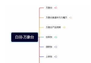 白羽·直引万搜索全篇，从0-1，多个类目实操经验总结付费-副业吧