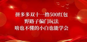 首发价值2980最新淘宝无货源不开车自然流超低成本截流玩法日入300+【揭秘】【1111更新】-副业吧