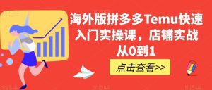 海外版拼多多Temu快速入门实操课,店铺实战从0到1-副业吧