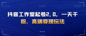 抖音工作室起号2.0,一天千粉,高端变现玩法【揭秘】-副业吧