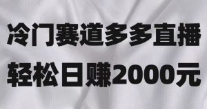 冷门赛道拼多多直播,简单念稿子,日收益2000+【揭秘】-副业吧