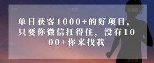 单日获客1000+的好项目，只要你微信扛得住，没有1000+你来找我【揭秘】-副业吧