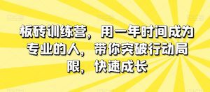板砖训练营，用一年时间成为专业的人，带你突破行动局限，快速成长-副业吧