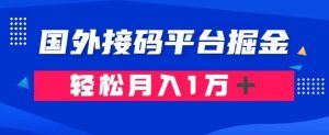 通过国外接码平台掘金：成本1.3，利润10＋，轻松月入1万＋【揭秘】-副业吧