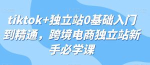 tiktok+独立站0基础入门到精通，跨境电商独立站新手必学课-副业吧