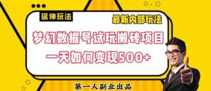 数据号回归玩法游戏试玩搬砖项目再创日入500+【揭秘】-副业吧