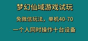 梦幻仙域游戏试玩，免微信玩法，单机40-70，一个人同时操作十台设备【揭秘】-副业吧