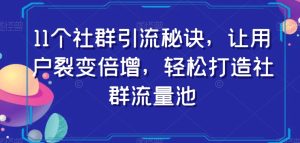 11个社群引流秘诀，让用户裂变倍增，轻松打造社群流量池-副业吧