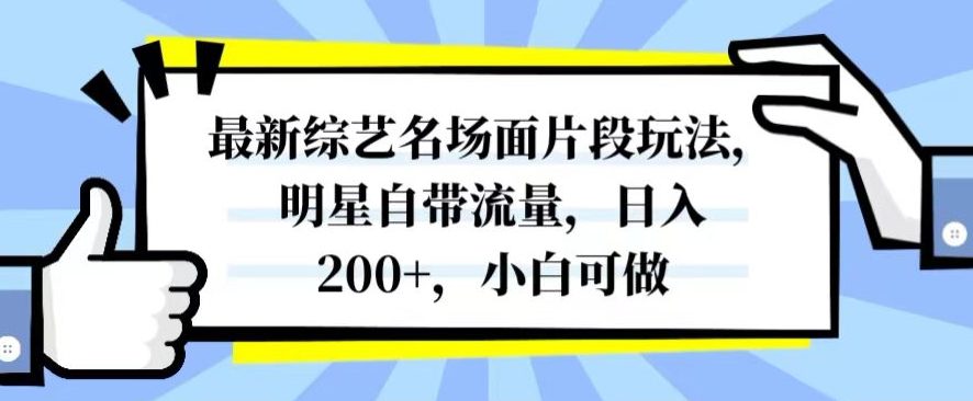 最新综艺名场面片段玩法，明星自带流量，日入200+，小白可做【揭秘】-副业吧