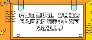卖莆田篮球鞋，暴利掘金日入四位数新手小白都可以轻松上手【揭秘】-副业吧