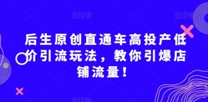后生原创直通车高投产低价引流玩法，教你引爆店铺流量！-副业吧