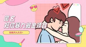 全网首发,揭秘超冷门匿名短信项目,通过信息差日入几百+【揭秘】-副业吧