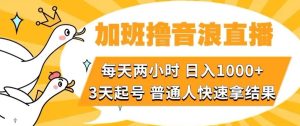 加班撸音浪直播,每天两小时,日入1000+,直播话术才3句,3天起号,普通人快速拿结果【揭秘】-副业吧