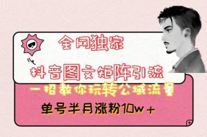 全网独家抖音图文矩阵引流，一招教你玩转公域流量，单号半月涨粉10w+【揭秘】-副业吧