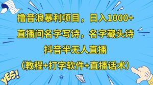 撸音浪暴利项目，日入1000+，直播间名字写诗，名字藏头诗，抖音半无人直播（教程+打字软件+直播话术）【揭秘】-副业吧