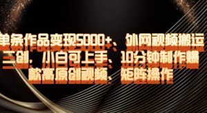 单条作品变现5000+、外网视频搬运二创，小白可上手，10分钟制作爆款高原创视频，矩阵操作【揭秘】-副业吧