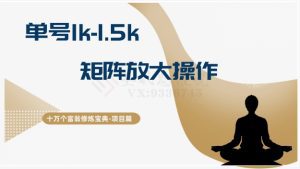 十万个富翁修炼宝典15.单号1k-1.5k，矩阵放大操作-副业吧