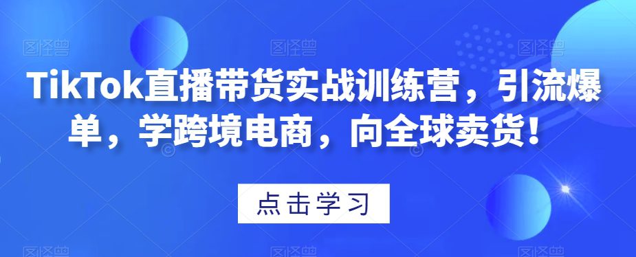 TikTok直播带货实战训练营，引流爆单，学跨境电商，向全球卖货！-副业吧