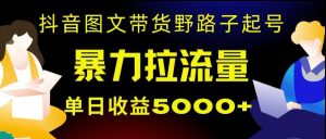 抖音图文带货暴力起号，单日收益5000+，野路子玩法，简单易上手，一部手机即可【揭秘】-副业吧
