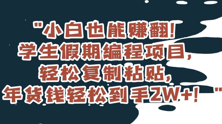 小白也能赚翻！学生假期编程项目，轻松复制粘贴，年货钱轻松到手2W+【揭秘】-副业吧