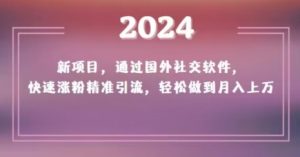 2024新项目，通过国外社交软件，快速涨粉精准引流，轻松做到月入上万【揭秘】-副业吧
