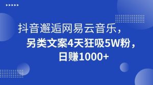抖音邂逅网易云音乐，另类文案4天狂吸5W粉，日赚1000+【揭秘】-副业吧