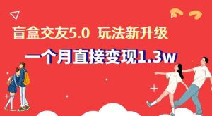 盲盒交友5.0，玩法全新升级，一个月直接变现1.3W，新手小白轻松上手【揭秘】-副业吧