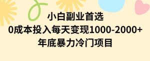 小白副业首选，0成本投入，每天变现1000-2000年底暴力冷门项目【揭秘】-副业吧