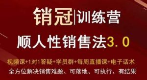 爆款！销冠训练营3.0之顺人性销售法，全方位解决销售难题、可落地、可执行、有结果-副业吧