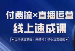 视频号付费流实操课程，付费流✖️直播运营速成课，让你快速掌握视频号核心运营技能-副业吧