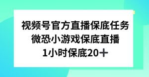 视频号直播任务，微恐小游戏，1小时20+-副业吧