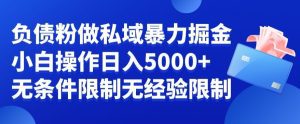 负债粉私域暴力掘金,小白操作入5000,无经验限制,无条件限制-副业吧