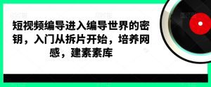 短视频编导进入编导世界的密钥，入门从拆片开始，培养网感，建素素库-副业吧